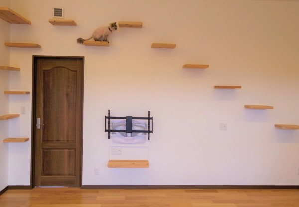 キャットウォーク